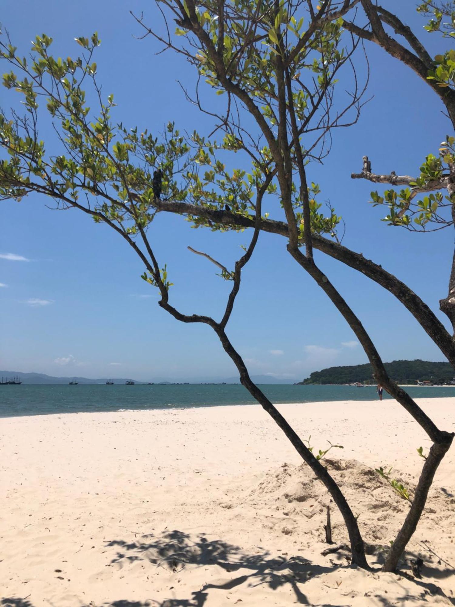 Ap Amplo Com Vista Para Mar Com 3 Suites Florianópolis 外观 照片